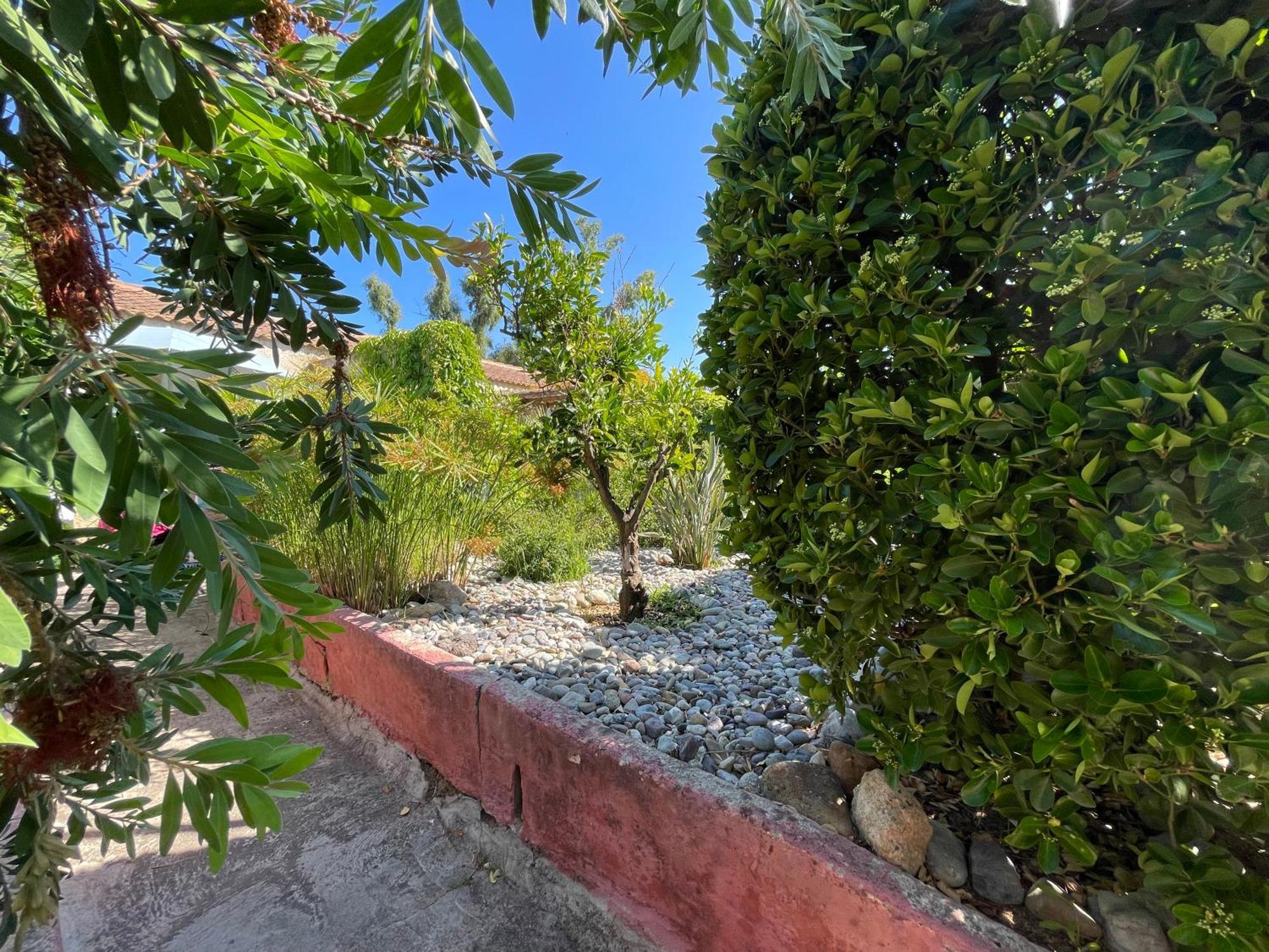 Le Rateau Bavoir Calvi  Dış mekan fotoğraf